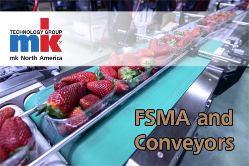 Strawberries on a sanitary conveyor system from mk North America.