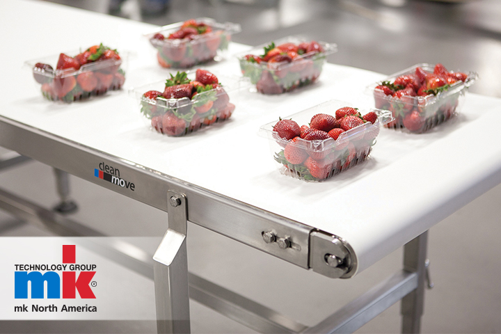 A CleanMove stainless steel conveyor system carrying packaged strawberries