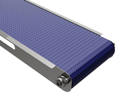 Stainless Steel Food Grade Conveyor