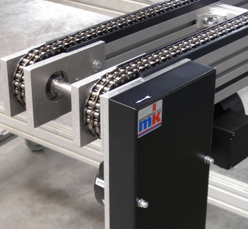 Duplex chain conveyor with head drive