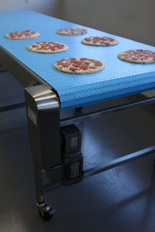 Plastic modular belt conveyor carrying pizza.