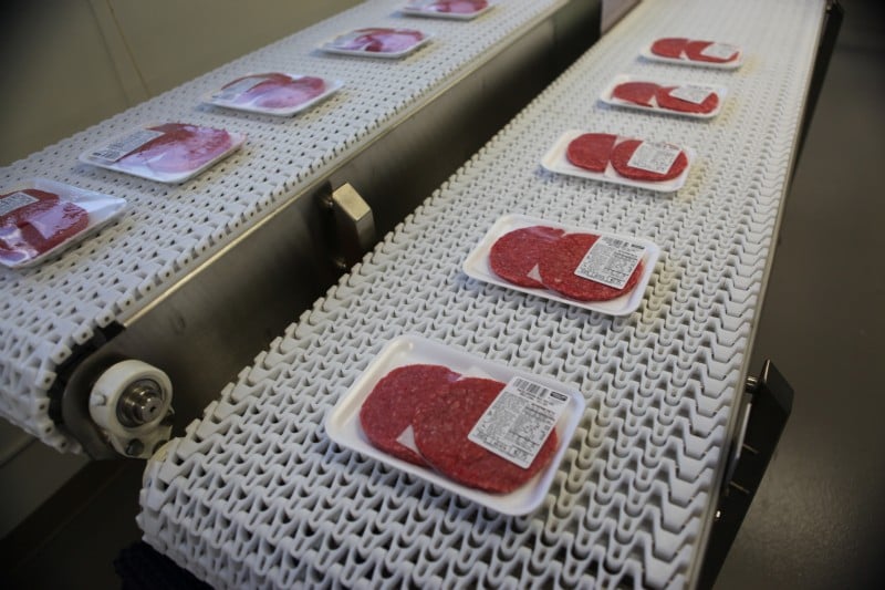 Hamburger patties on a plastic modular belt conveyor.