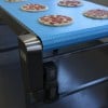 Plastic modular belt conveyor carrying pizza.