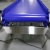Food grade conveyor with blue belt